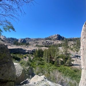 Meet your Posher, Annie